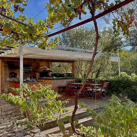 Hotel Glamping Do Ze Cernache do Bonjardim Exterior foto